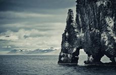 Der Felsen Hvitserkur in Island